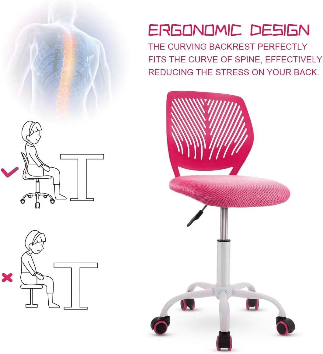 Kids Desk Chair Adjustable Height With Lumbar Support Rose from PriceLows™