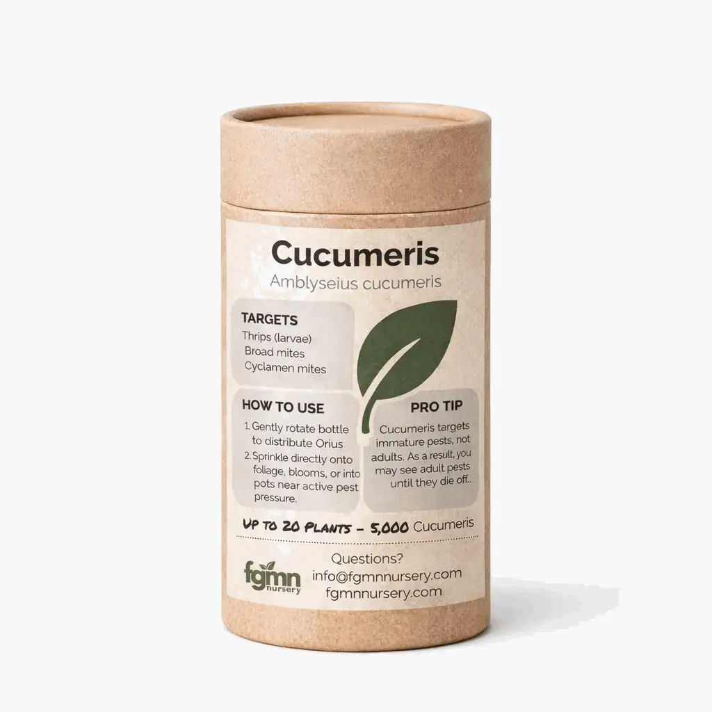 Amblyseius cucumeris from PriceLows™