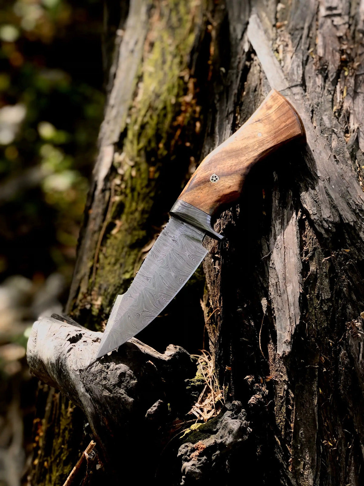 Handmade hunting knife | 10.25 Inch | Hunting & Survival Knife | Home