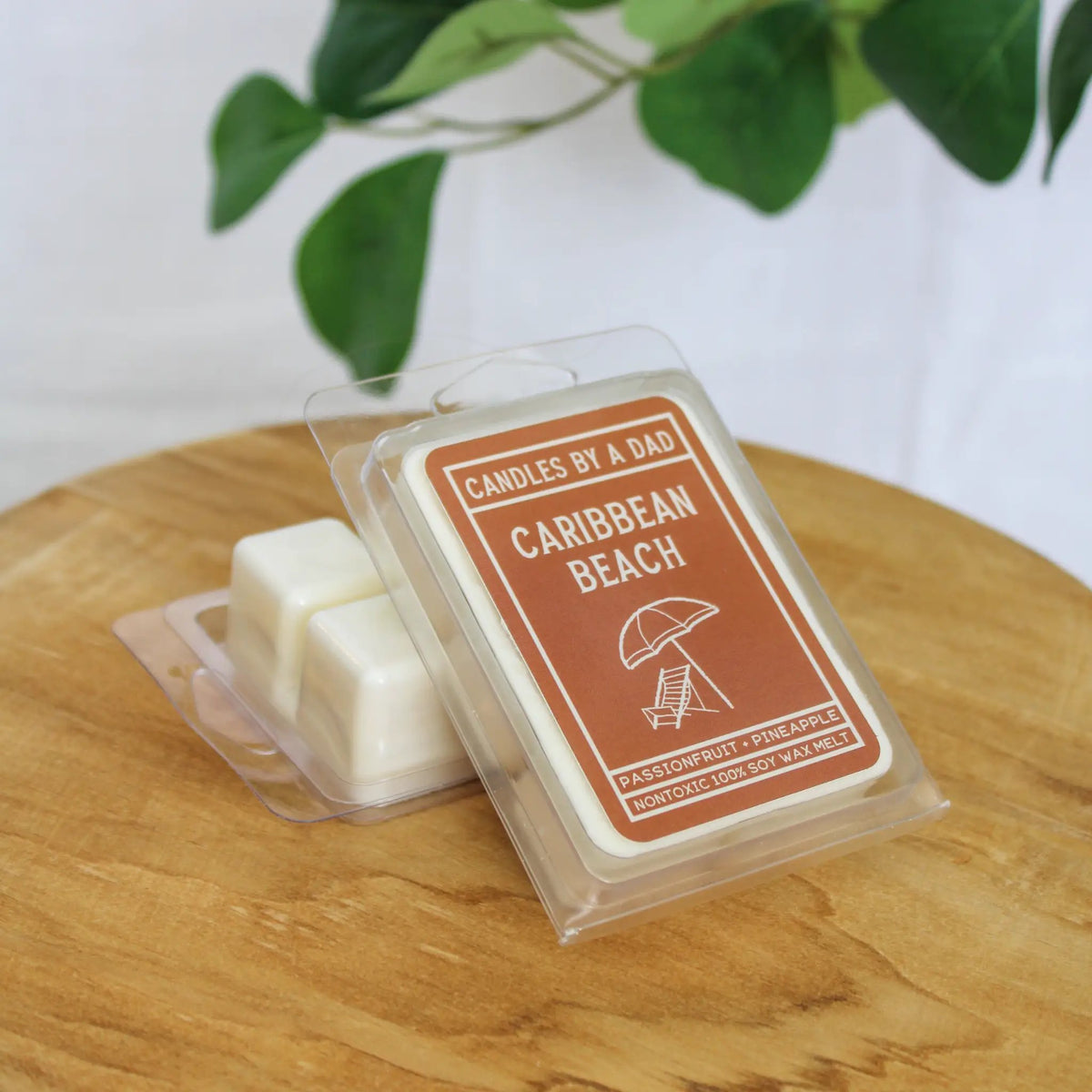 Wax Melt | Caribbean Beach Scent | Tropical Citrus Coconut
