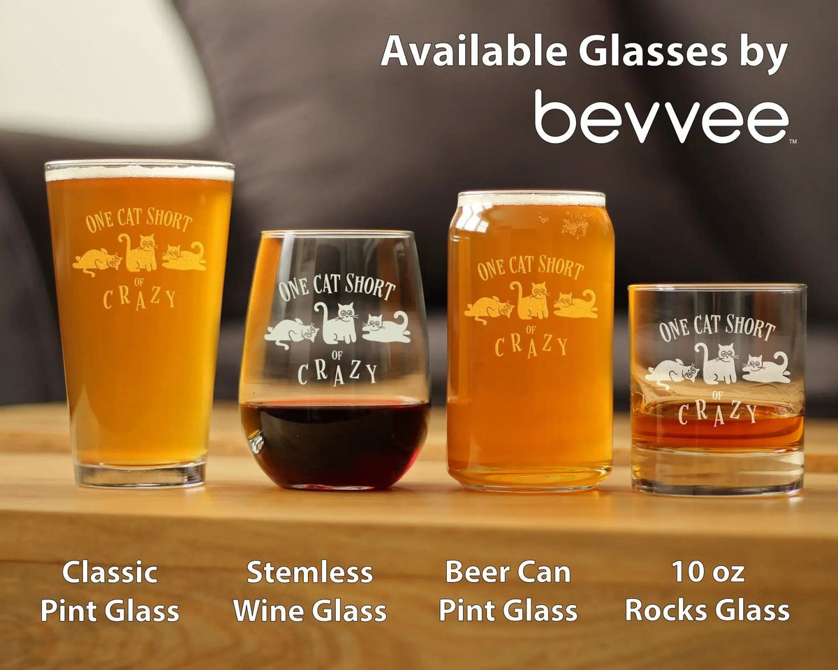 Etched Rocks Glass | 16 oz Whiskey Glass | Dishwasher Safe | One Cat Short of Crazy (Style 2)