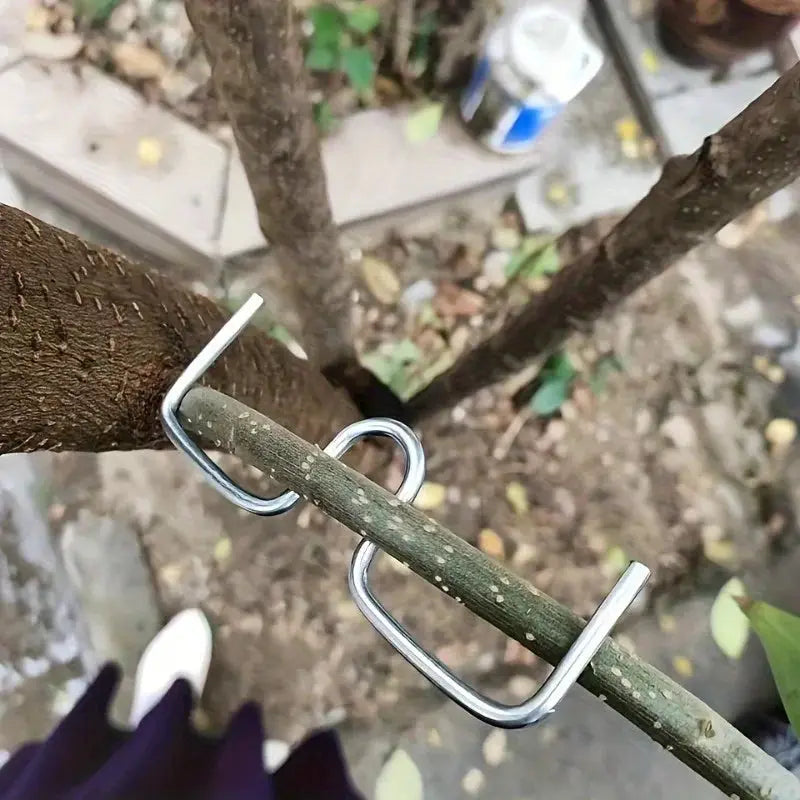 M-Type Tree Branch Puller | Hot Dip Galvanized Steel | 50Pc Pack