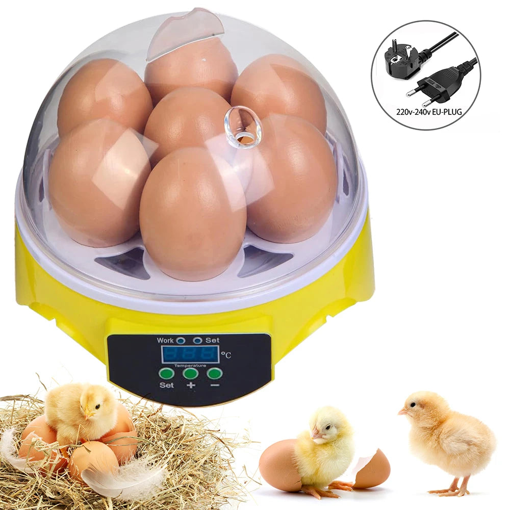 Egg Incubator | Automatic Constant Temperature | 7 Piece Set