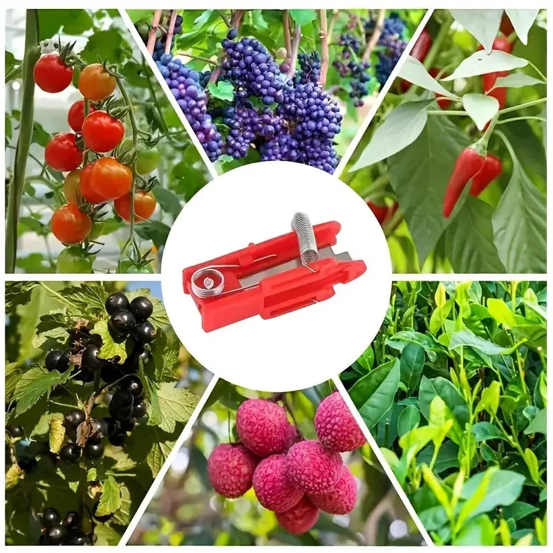 Garden Scissors | Alloy Steel Blade | Ergonomic Design | Thumb And Finger Grip