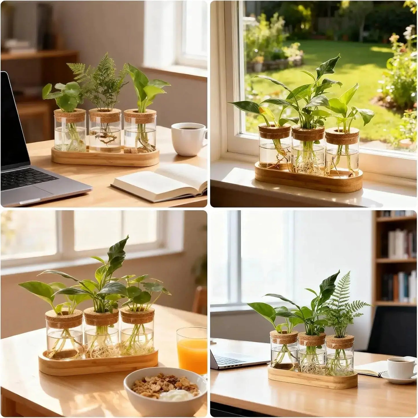 3Pcs Propagation Stations with Wooden Stand, Glass Planter Terrarium for Hydroponics, Desktop Home Office Decor from PriceLows™
