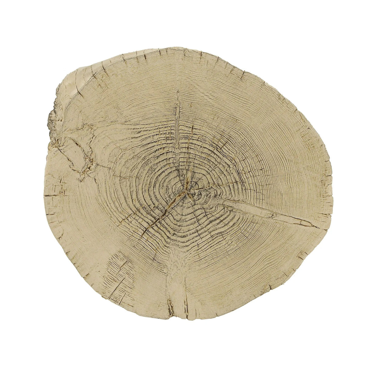 Gene Fiber Concrete Accent Table | Brown Finish | Round Fixed Top | Engineered Stone