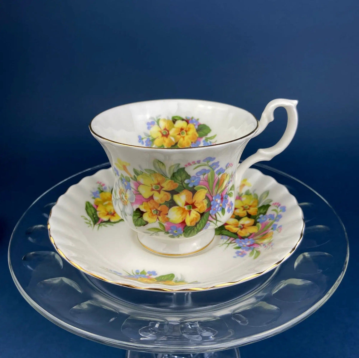 Vintage Teacup or Coffee Cup and Saucer by Royal Albert | Dainty Dina Series, Mary | Hand Painted Roses | Collectors & Hosts