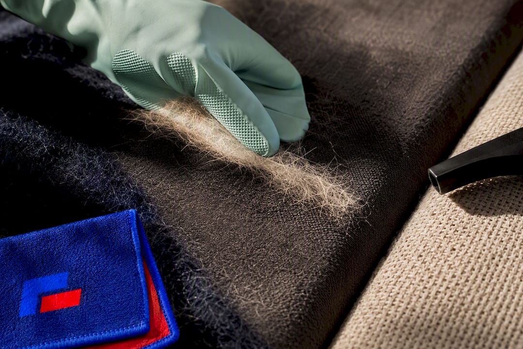 Rubber glove gathering pet hair from upholstery