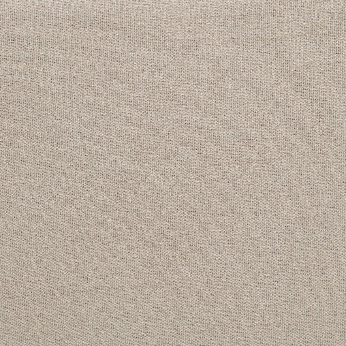 Marsha 52-inch Upholstered Entryway Accent Bench Latte | 52.25 x 19.75 x 18 in | Living Room Furniture | Living Room