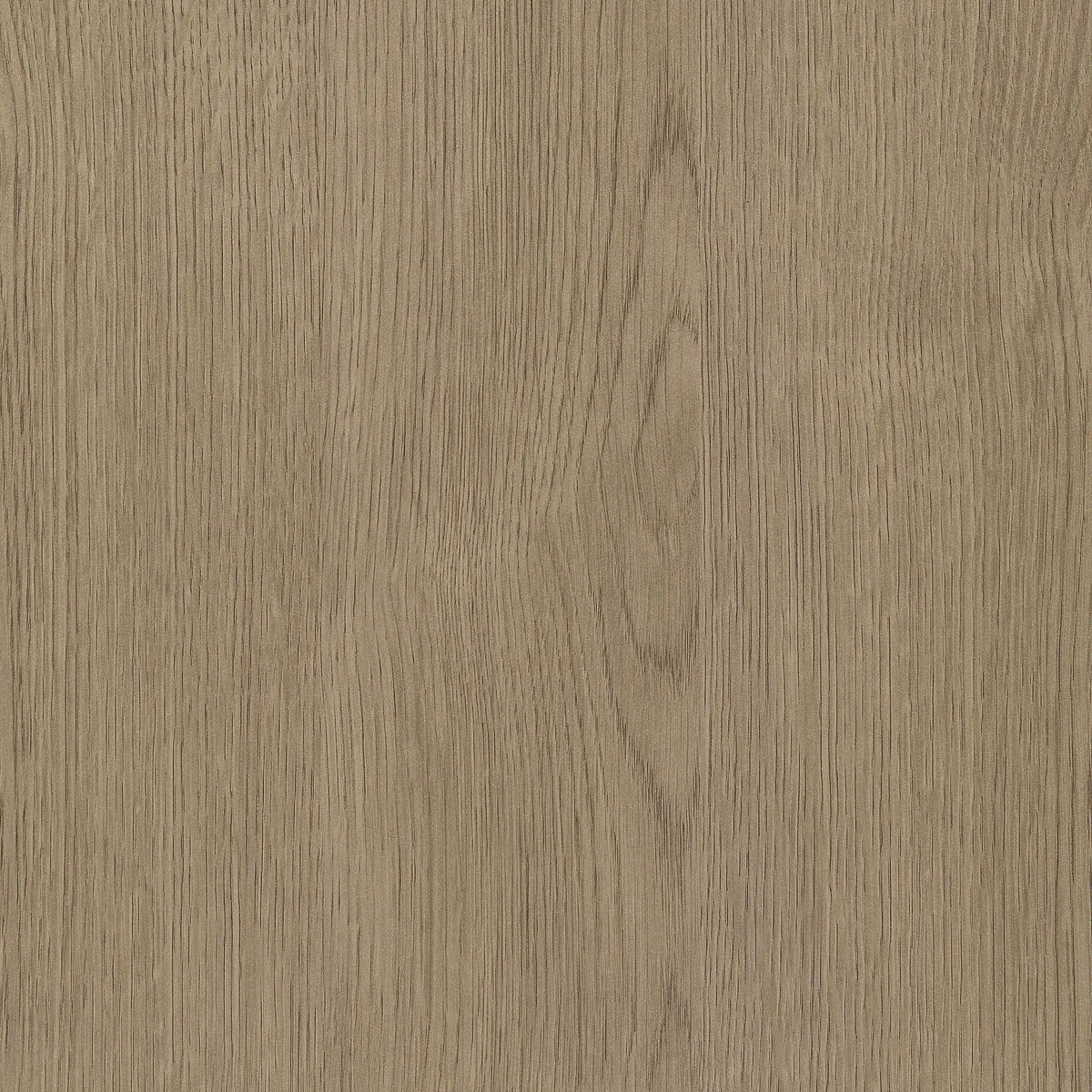 Devar Square Engineered Wood Side End Table Latte | 23.5 x 23.5 x 21.75 in | Engineered Wood & Veneer | Living Room