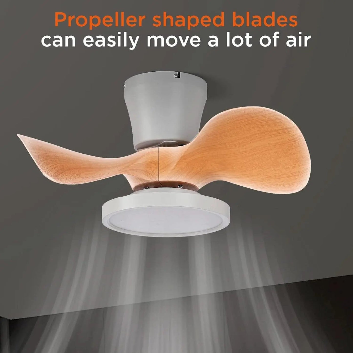 22 Inch Ceiling Fan With LED Light For Kitchen And Bedroom from PriceLows™
