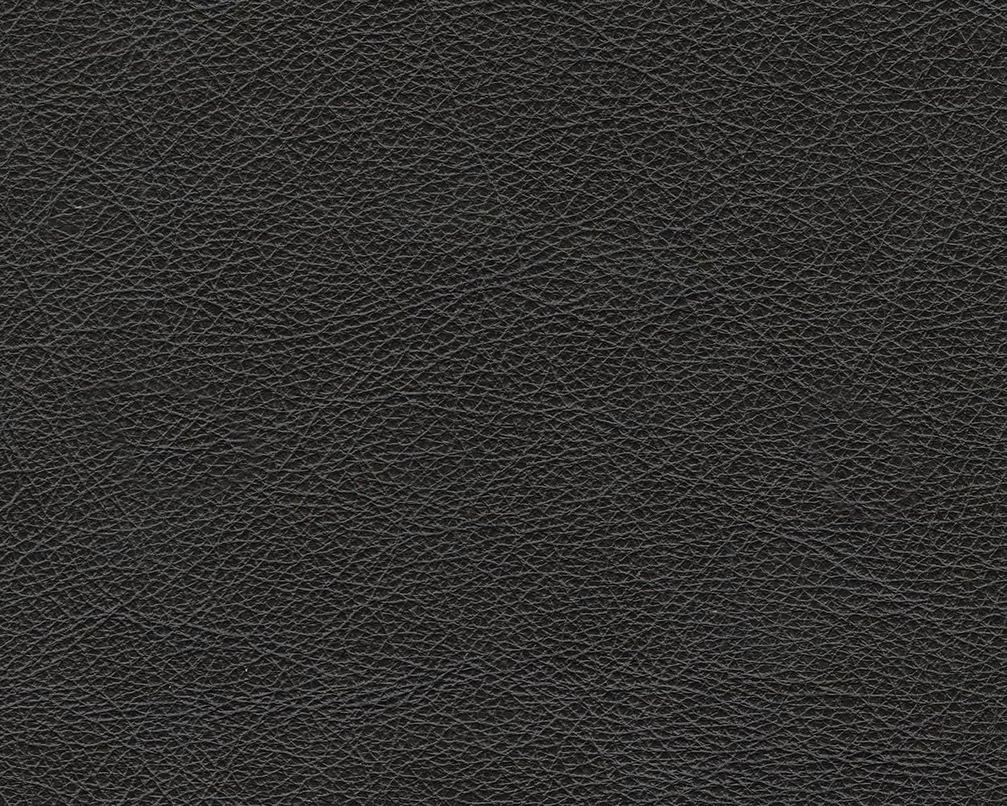 Contemporary Black Cushioned Rectangular Ottoman Finish from PriceLows™
