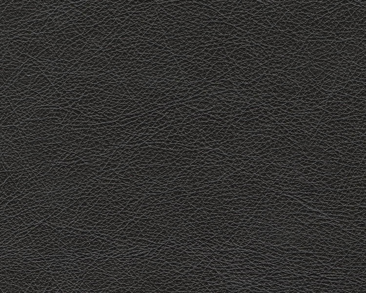 Contemporary Black Cushioned Rectangular Ottoman Finish from PriceLows™