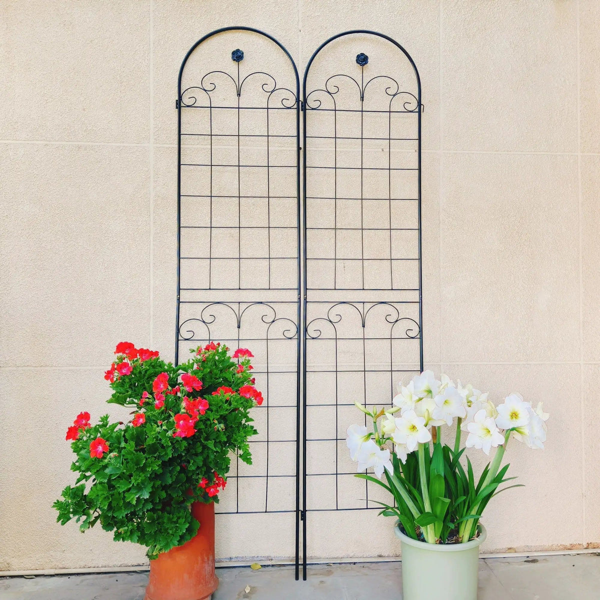Metal Garden Trellis For Climbing Plants Outdoor Rustproof Plant Support Rose | Outdoor Decor | Metal | Outdoor Living