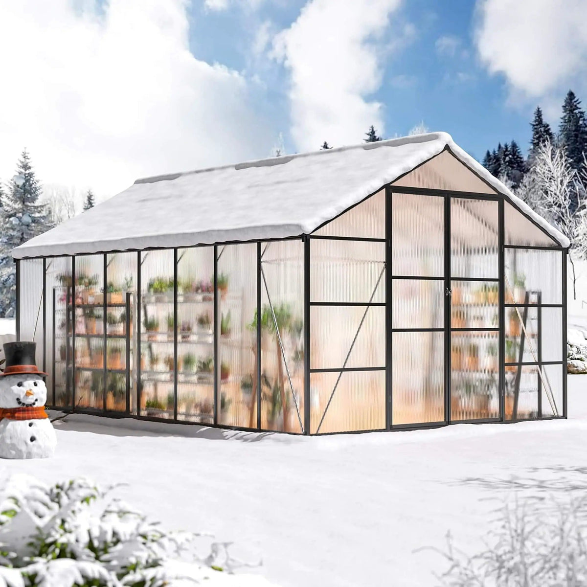 Premium Walk-In Polycarbonate Greenhouse With Aluminum Frame | Aluminum | Home Use | Home