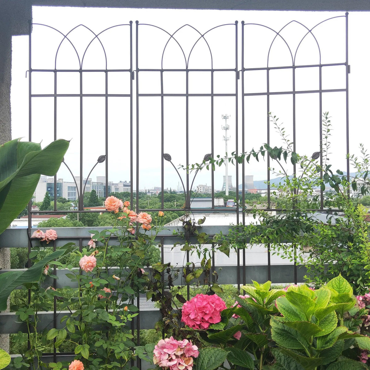 Metal Garden Trellis | Rustproof | 36.5 Inch Width | 71 Inch Height