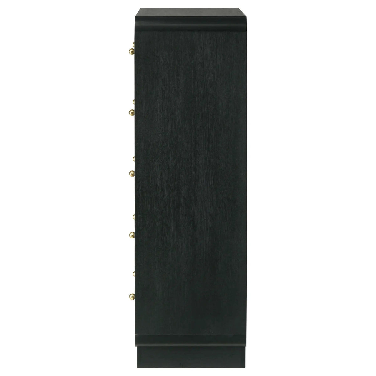 Cavelle 5-drawer Chest of Drawers | 31.5 x 16.75 x 50.75 in | Brass | Black