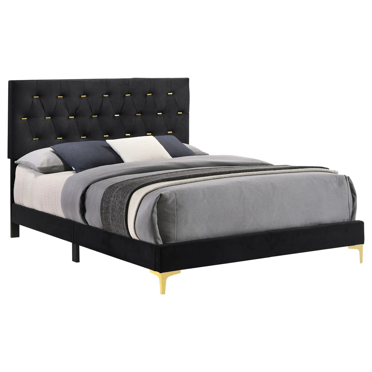 Kendall Upholstered Queen Panel Bed | 64.25 x 87 x 49.25 in | Velvet | Black