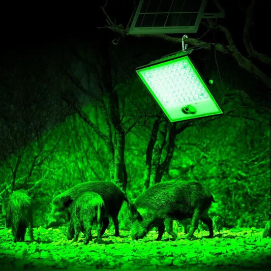 Solar Hunting Floodlight | Green Motion Sensor | IP65 Rated | 15 Ft Cable