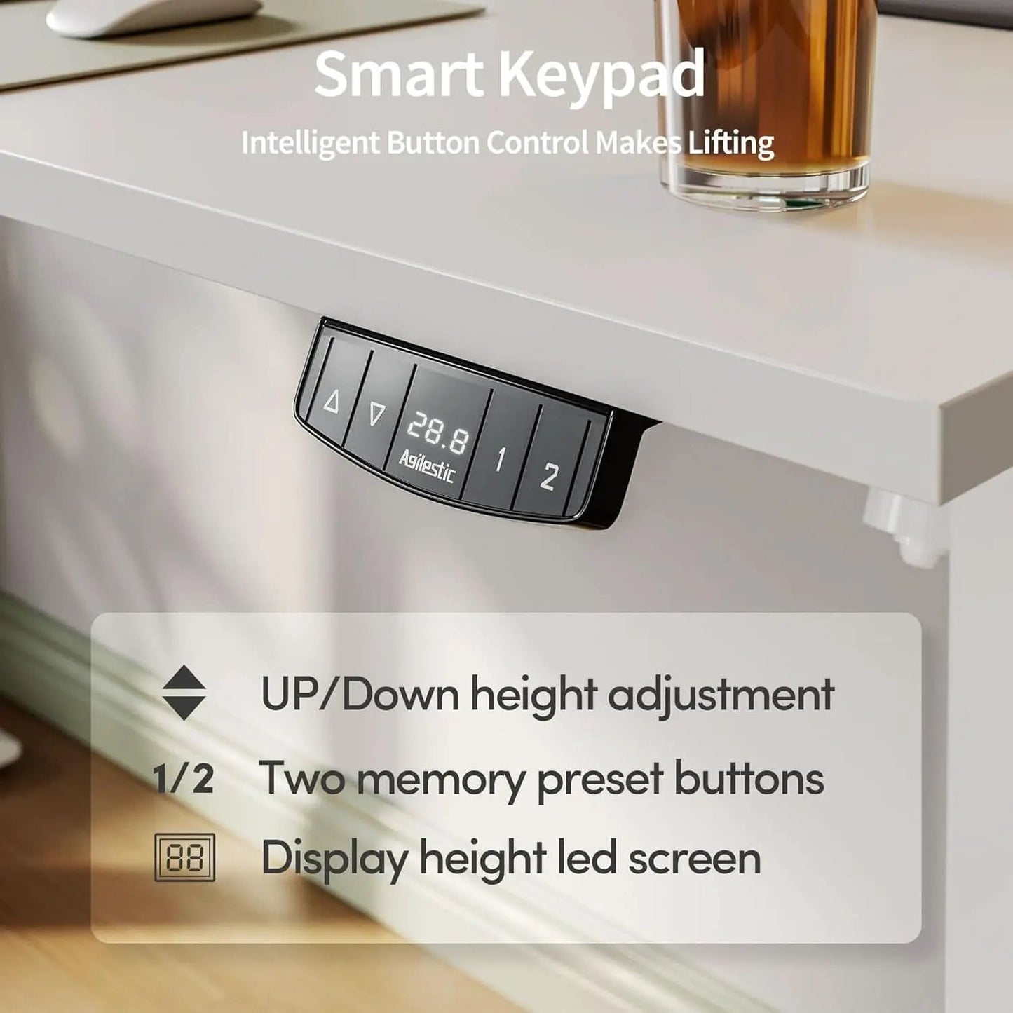 Electric Standing Desk 48x24 Height Adjustable Unit