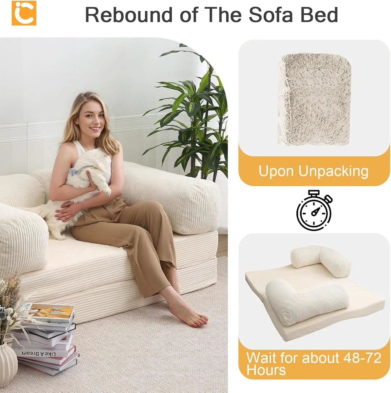 Queen Foldable Sleeper Sofa Bed LivingSpace SpaceSaver from PriceLows™