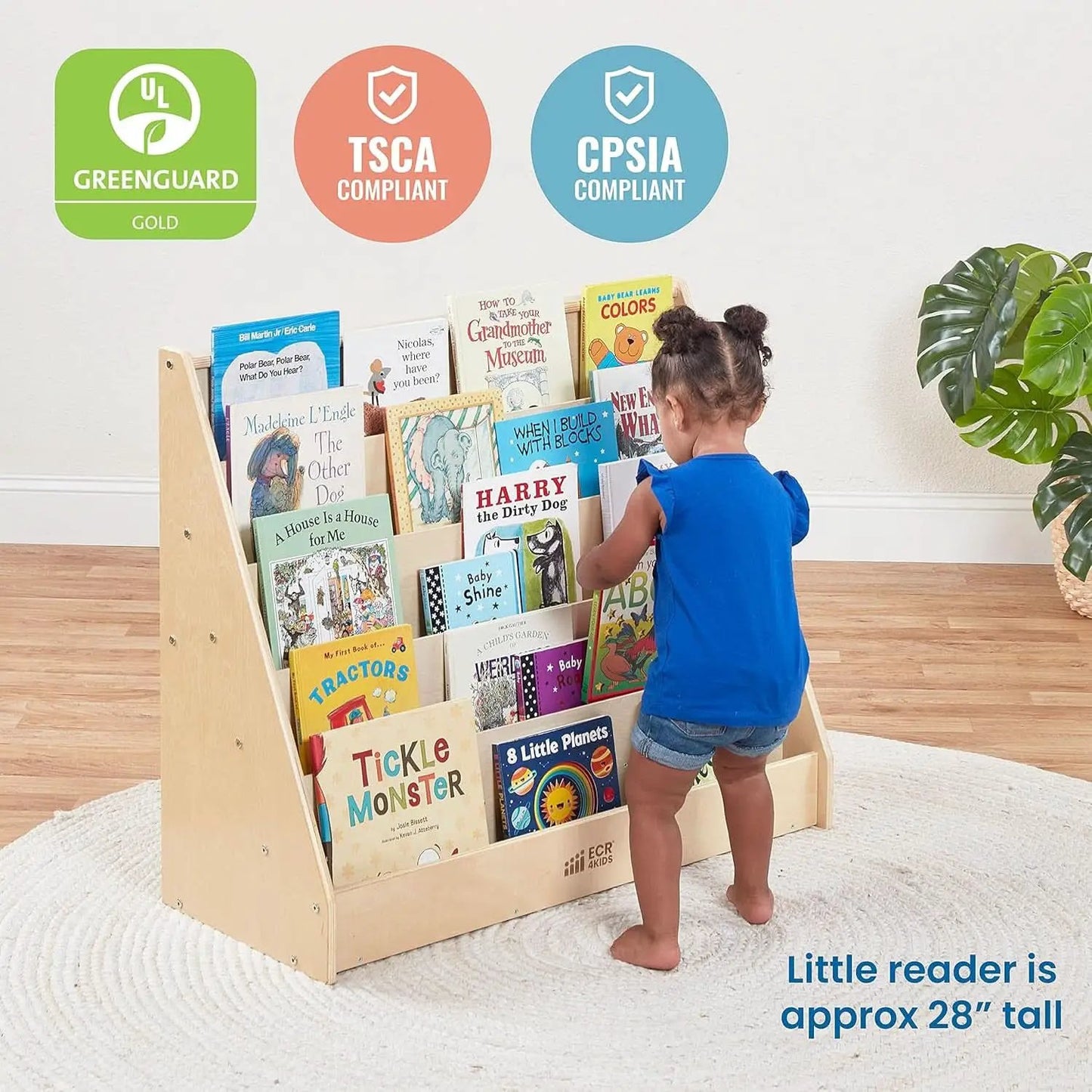 Natural Wood Single Sided Book Display Classroom Bookshelf from PriceLows™