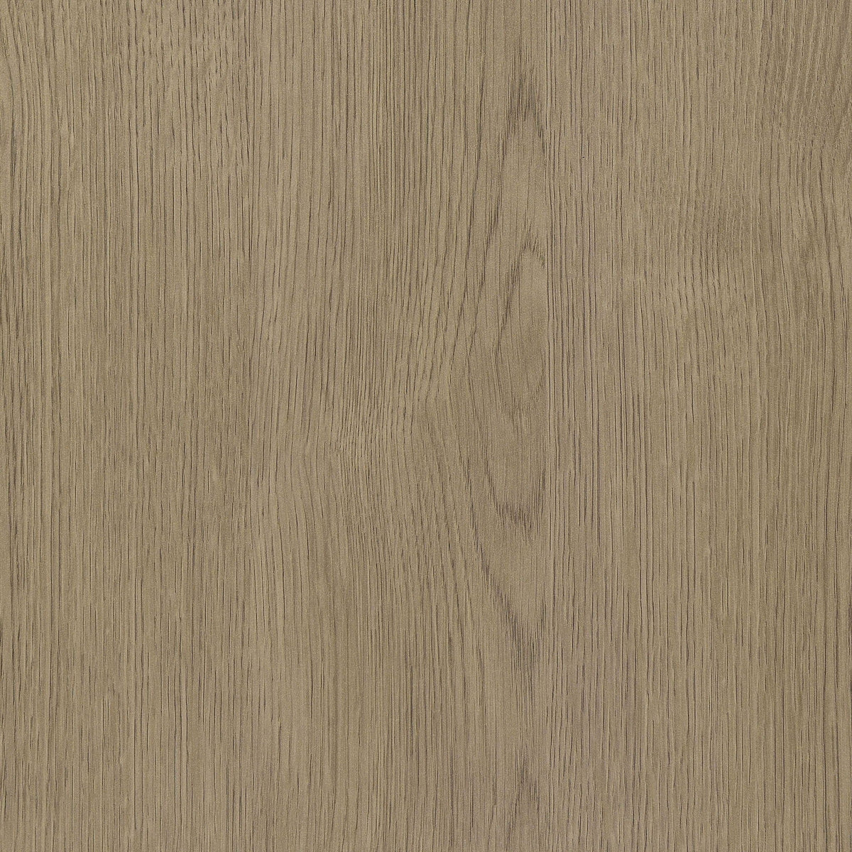 Devar Square Engineered Wood Cocktail Coffee Table Latte | 35.5 x 35.5 x 16.25 in | Engineered Wood & Veneer | Living Room
