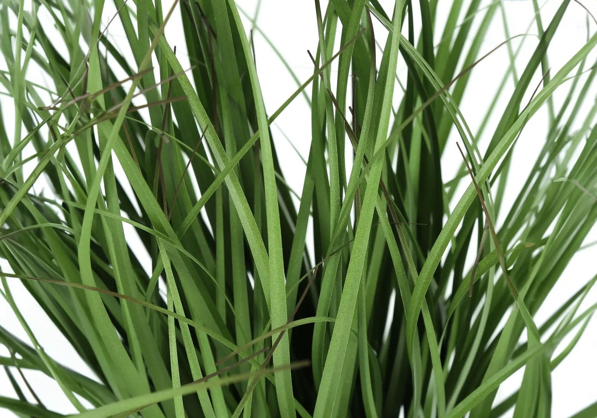 23 Inch Artificial Grass Plant | Real Touch | Indoor Faux Plant | Table Greenery