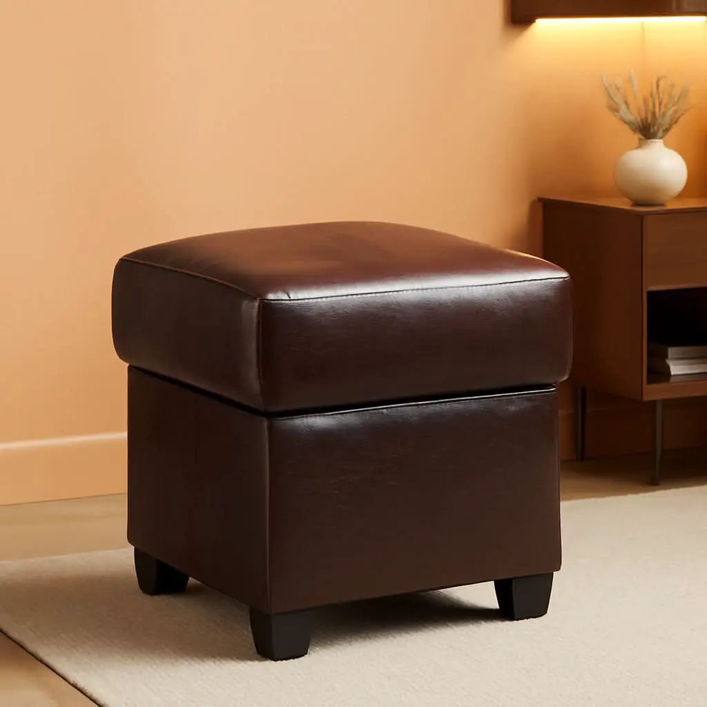 Brown PU Leather Storage Ottoman Featuring CushionedTop from PriceLows™