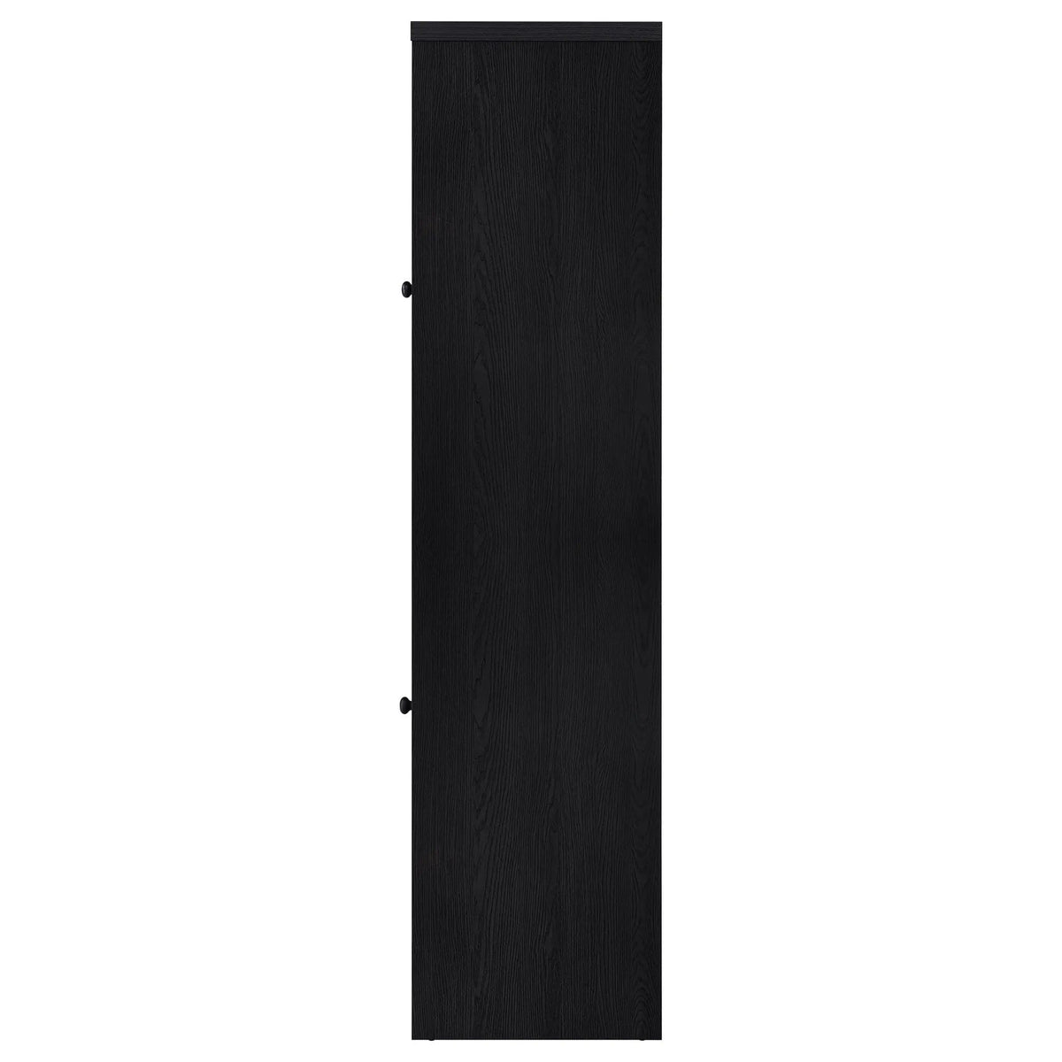 Denison 67-inch 2-door Media Tower Storage Cabinet Pier | 23.5 x 15.5 x 67 in | Glass | Black