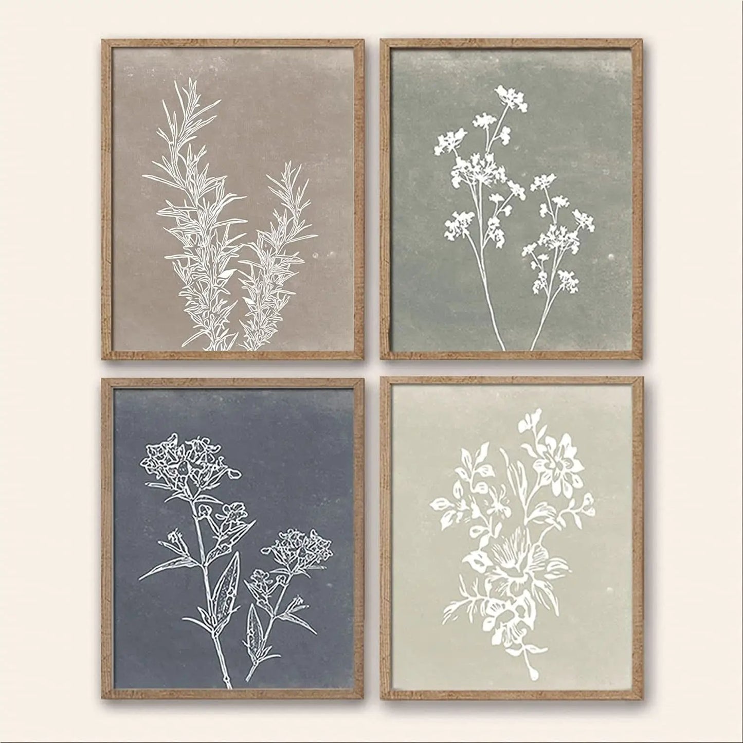 Framed Botanical Wall Art Set Of 4 With Walnut 10x10 Frames from PriceLows™