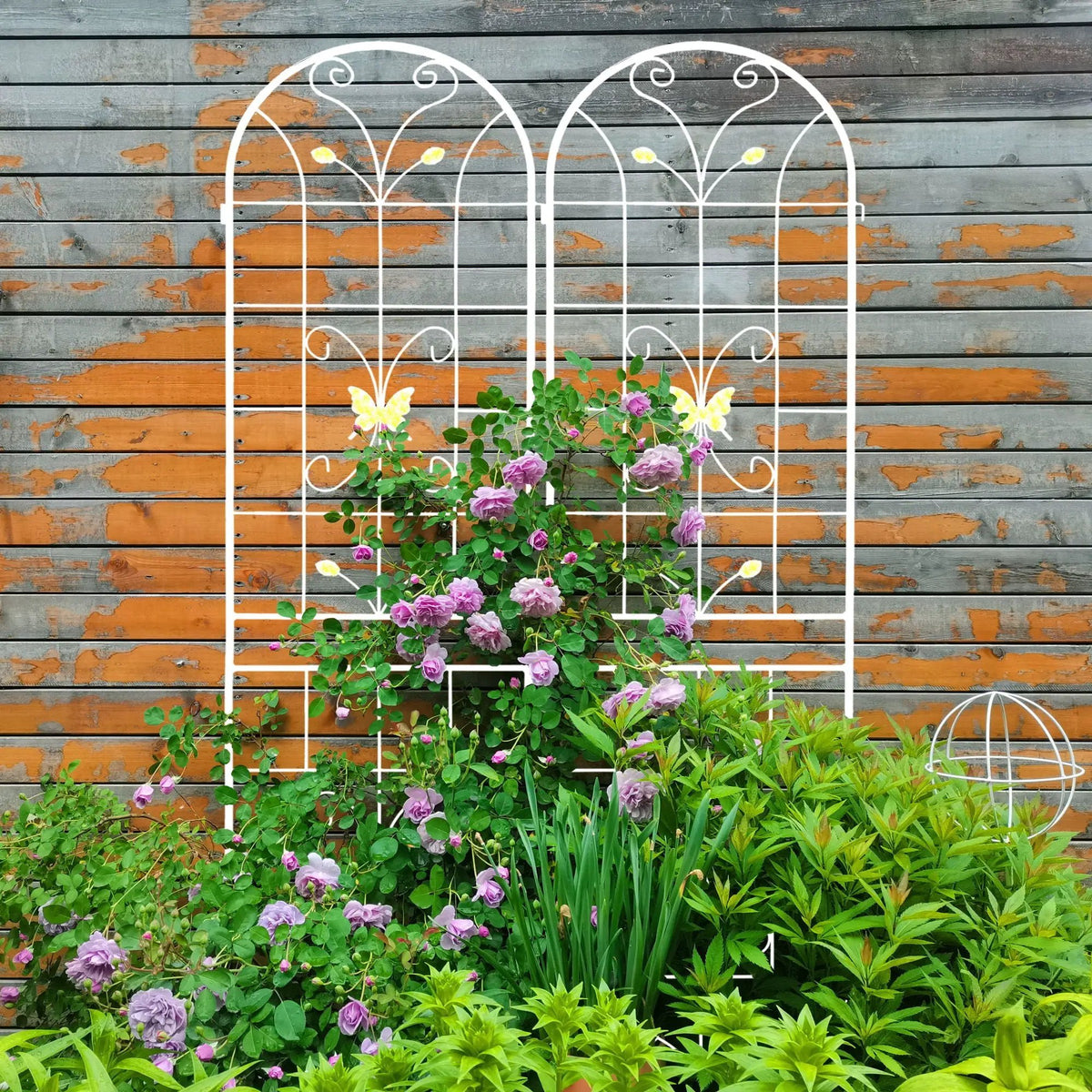 Garden Metal Trellis | Rustproof | Extendable 80 Inch Width | Galvanized Powder-Coated Pipe