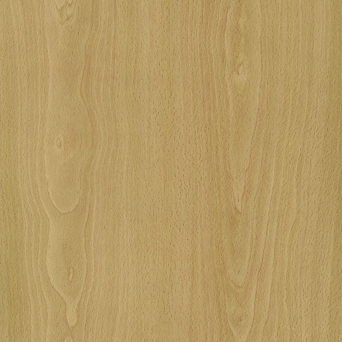 Mattison 4-Panel Room Divider Folding Shoji Screen | 69.5 x 0.75 x 70.25 in | Wood | Natural