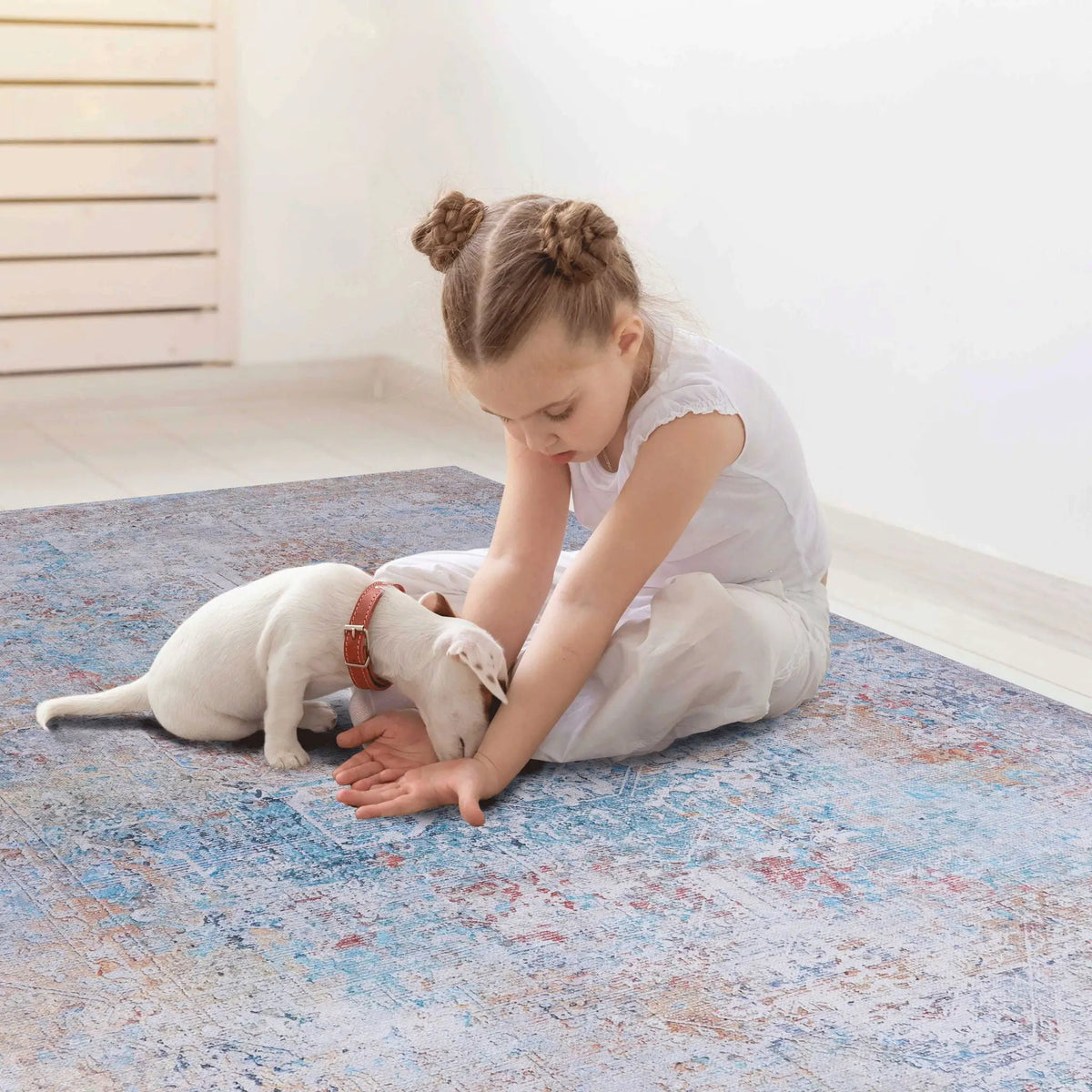 Maval Unique Washable Area Rug | 36 x 24 Inch | Machine Washable | Kid And Pet Friendly