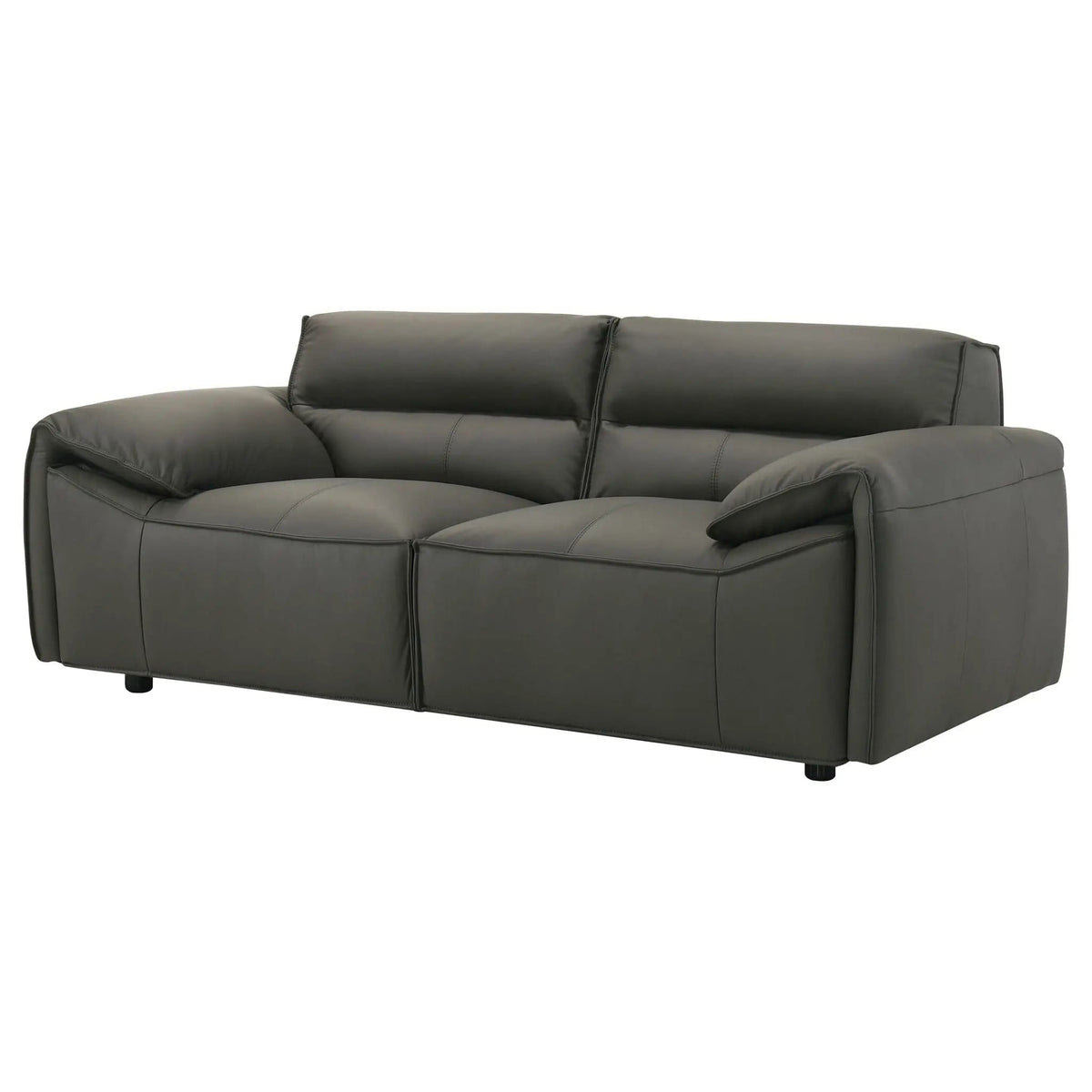 Buxton Top Grain Leather Upholstered Loveseat Graphite | 73.5 x 37.5 x 29.5 in | Leather | Living Room