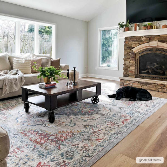 Haymond Area Rug from PriceLows™