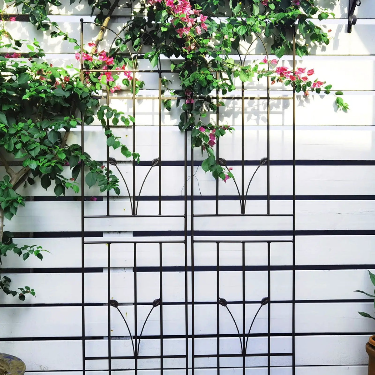 Metal Garden Trellis | Rustproof | 36.5 Inch Width | 71 Inch Height