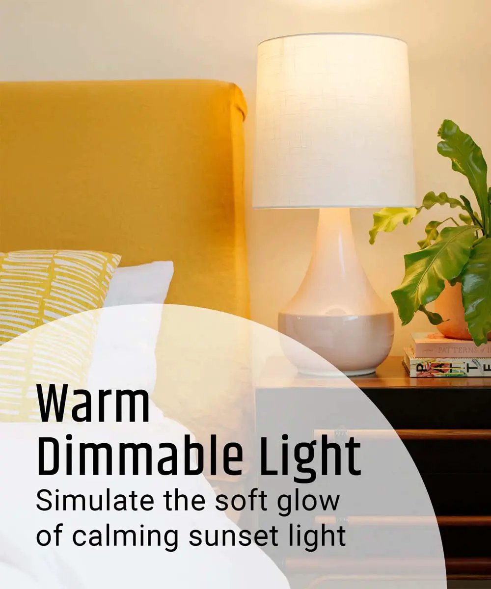 A21 LED Light Bulbs | 100 Watt | Dimmable 2700K | 6 Pack