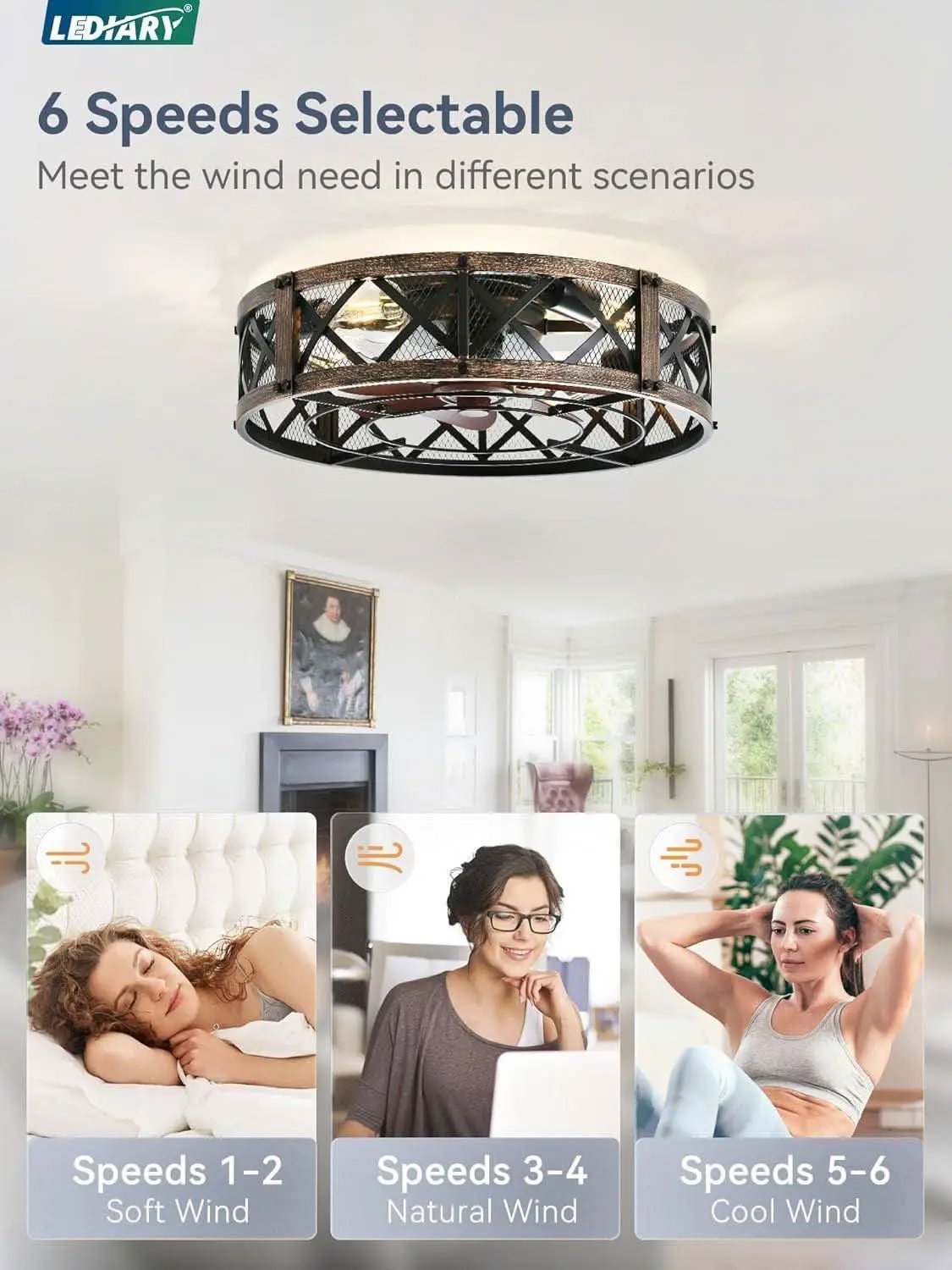 Twenty Inch Caged Ceiling Fan With Integrated Light Black from PriceLows™