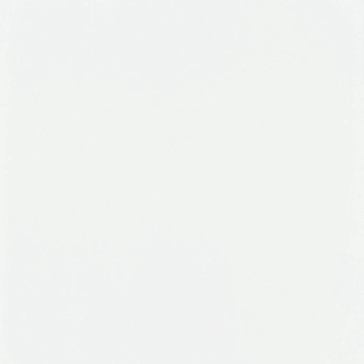 Roberto 4-Panel Room Divider Folding Shoji Screen | 69.5 x 0.75 x 70.25 in | Rubberwood & Fabric | White