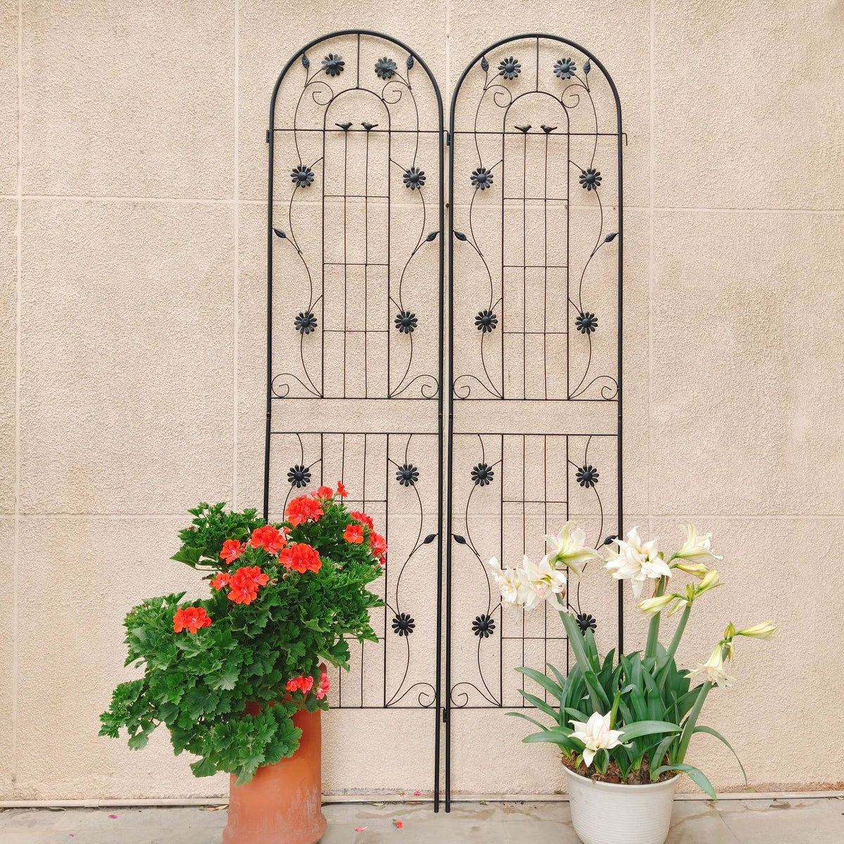 Metal Garden Trellis | Galvanized Steel | Powder Coated | 4 Piece Set