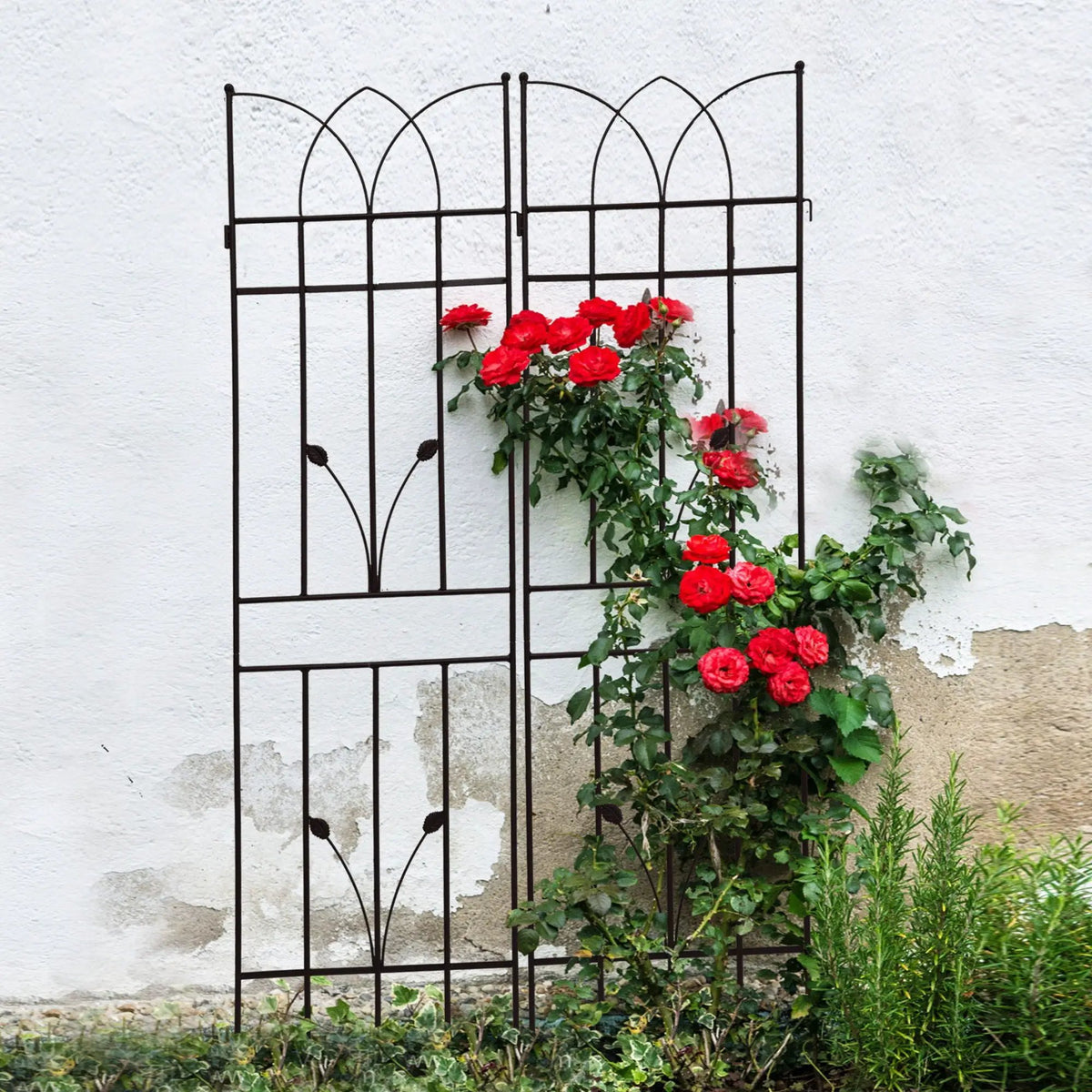 Metal Garden Trellis | Rustproof | 36.5 Inch Width | 71 Inch Height