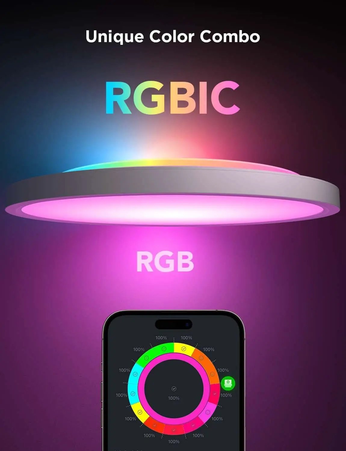 RGBIC Smart Ceiling Light 12 Inch Alexa Compatible from PriceLows™