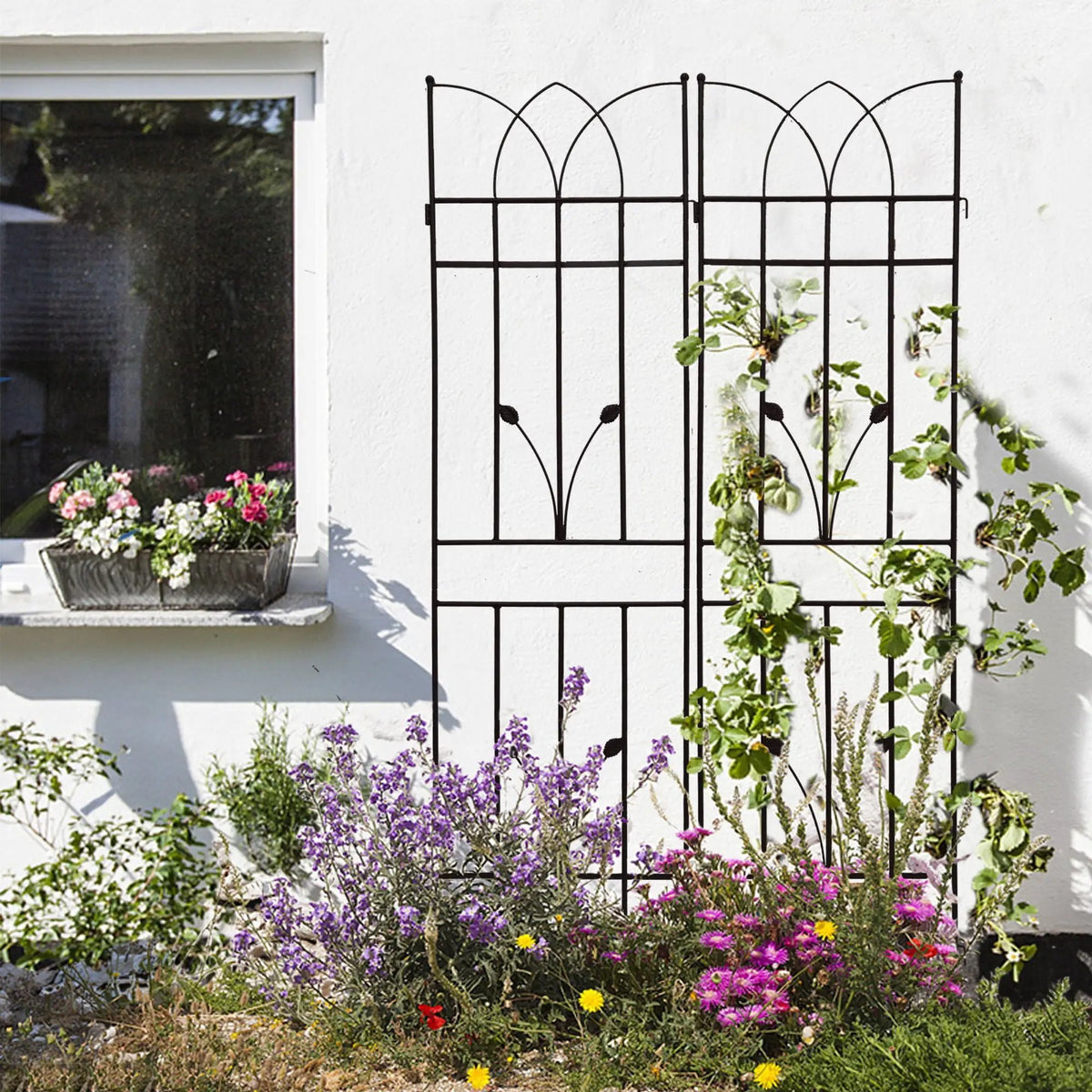 Metal Garden Trellis | Rustproof | 36.5 Inch Width | 71 Inch Height