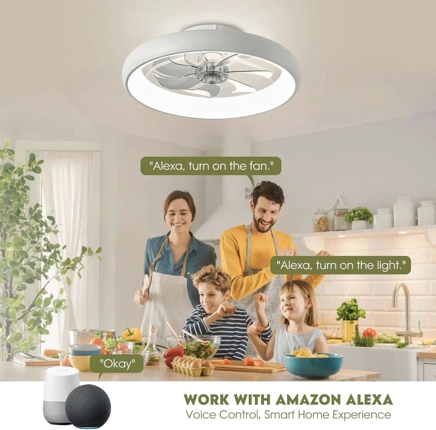 20 Inch Flush Mount Ceiling Fan With Smart Control from PriceLows™
