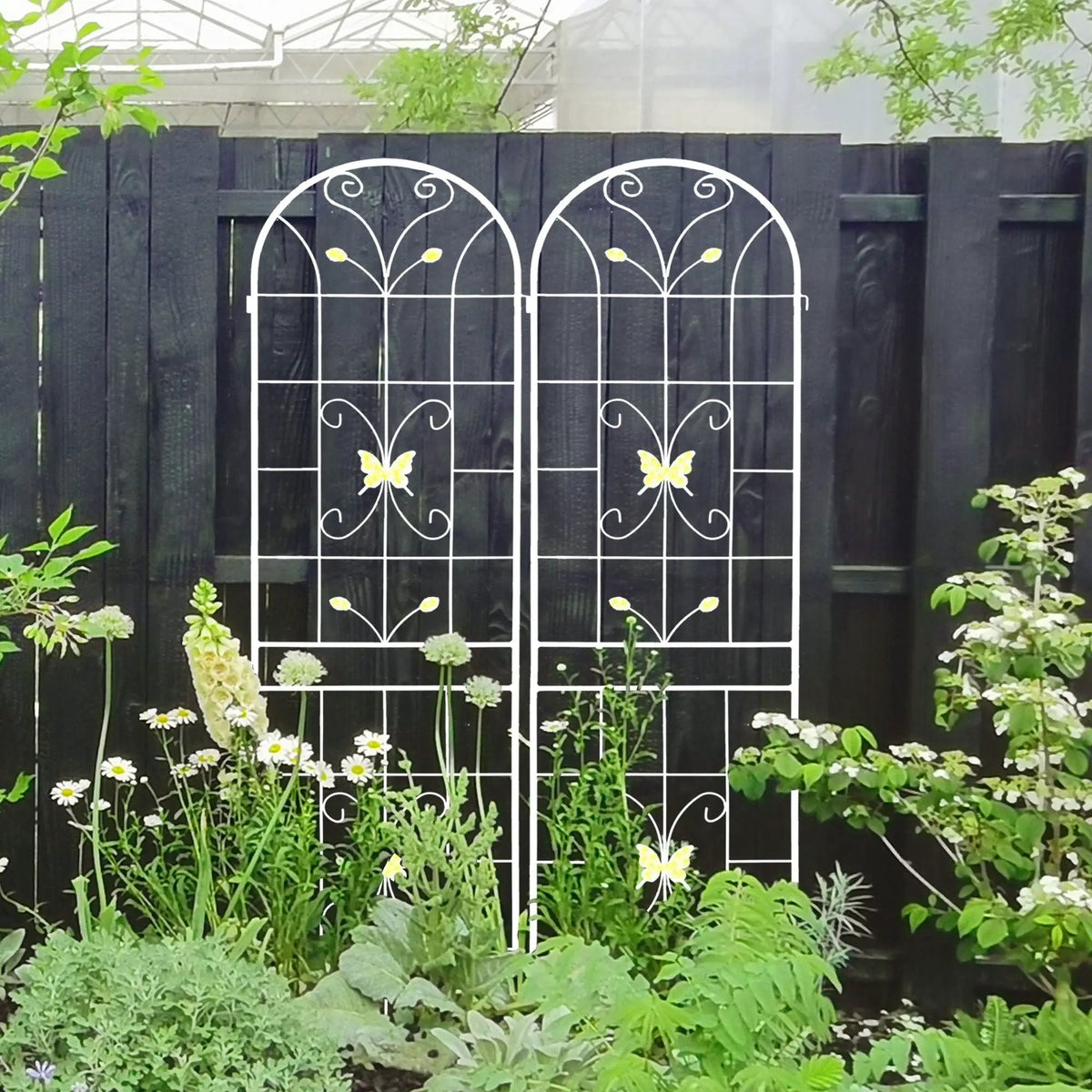 Garden Metal Trellis | Rustproof | Extendable 80 Inch Width | Galvanized Powder-Coated Pipe