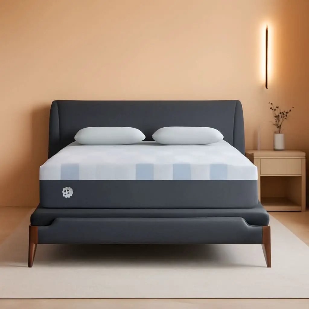 Queen Dreamlife Gel Memory Foam Mattress Surface Guard from PriceLows™