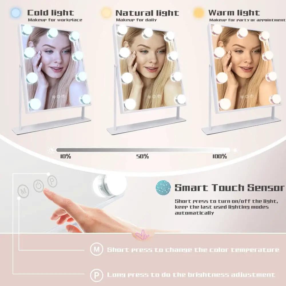 Lighted Vanity Mirror With Detachable 10X Magnification, 15x12 Travel Size from PriceLows™