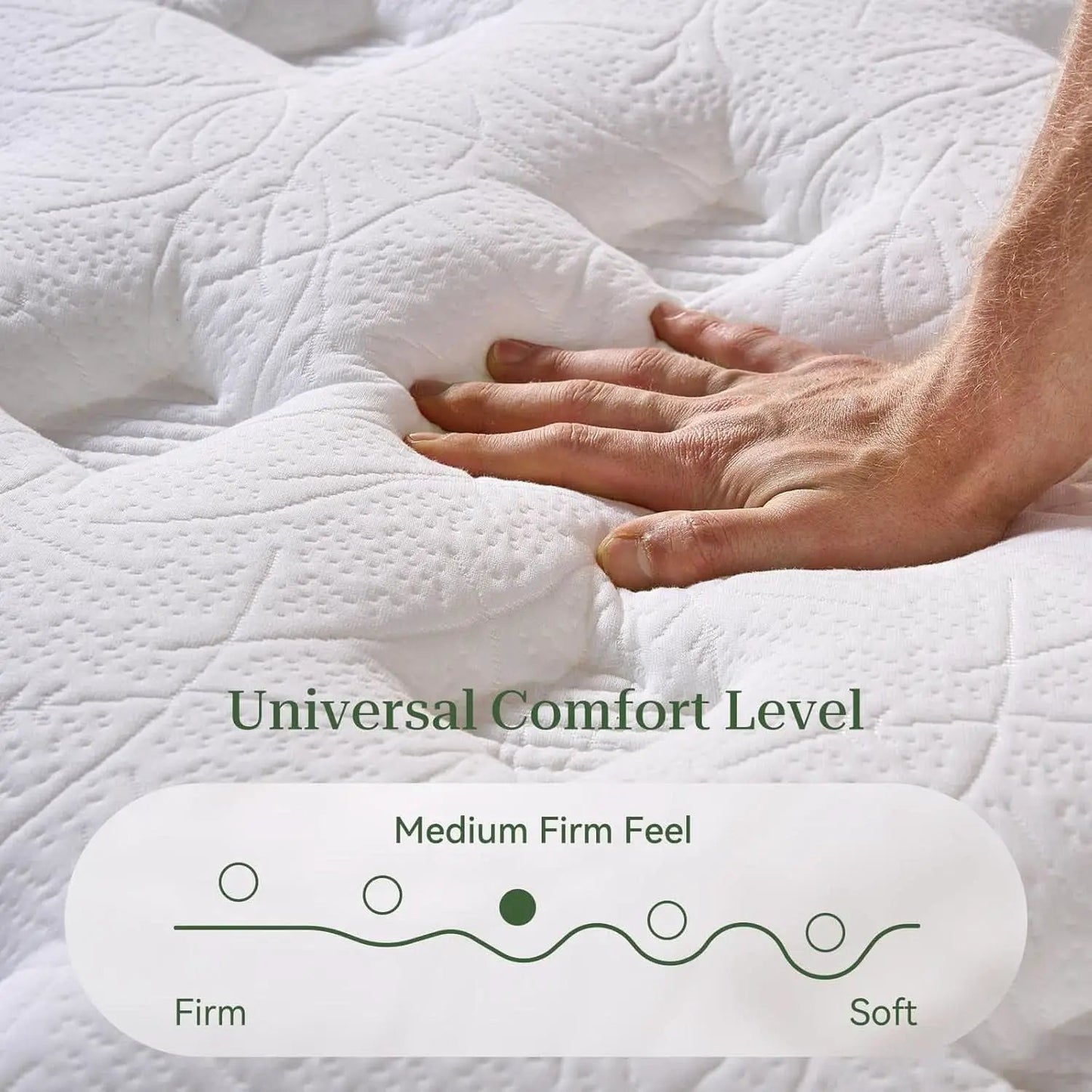 Queen 12 Inch Orthopedic Support Memory Foam Mattress from PriceLows™