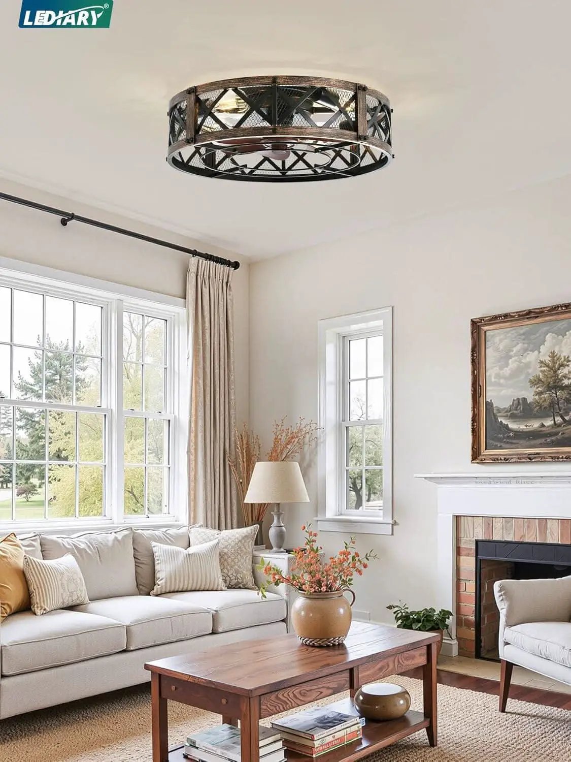 Twenty Inch Caged Ceiling Fan With Integrated Light Black from PriceLows™